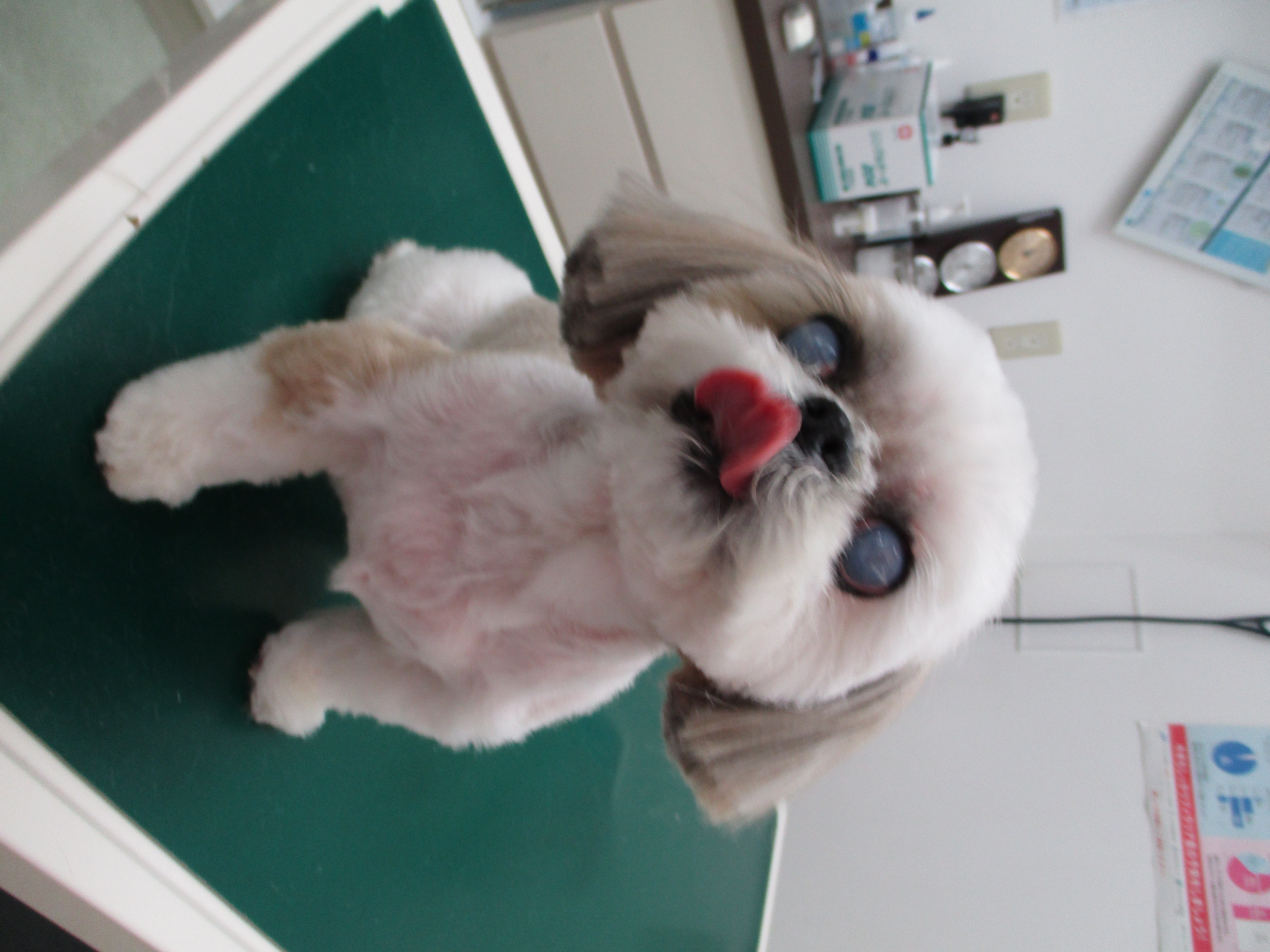 れいちゃん れいちゃん