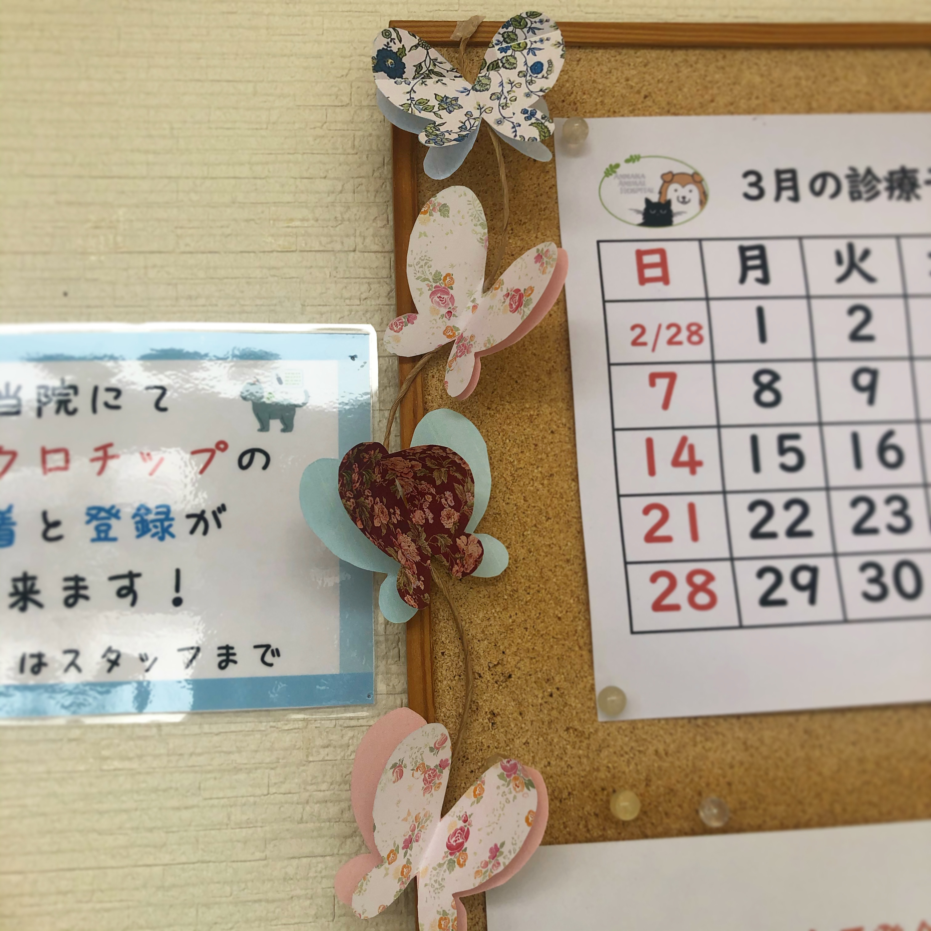 ちょう ちょう