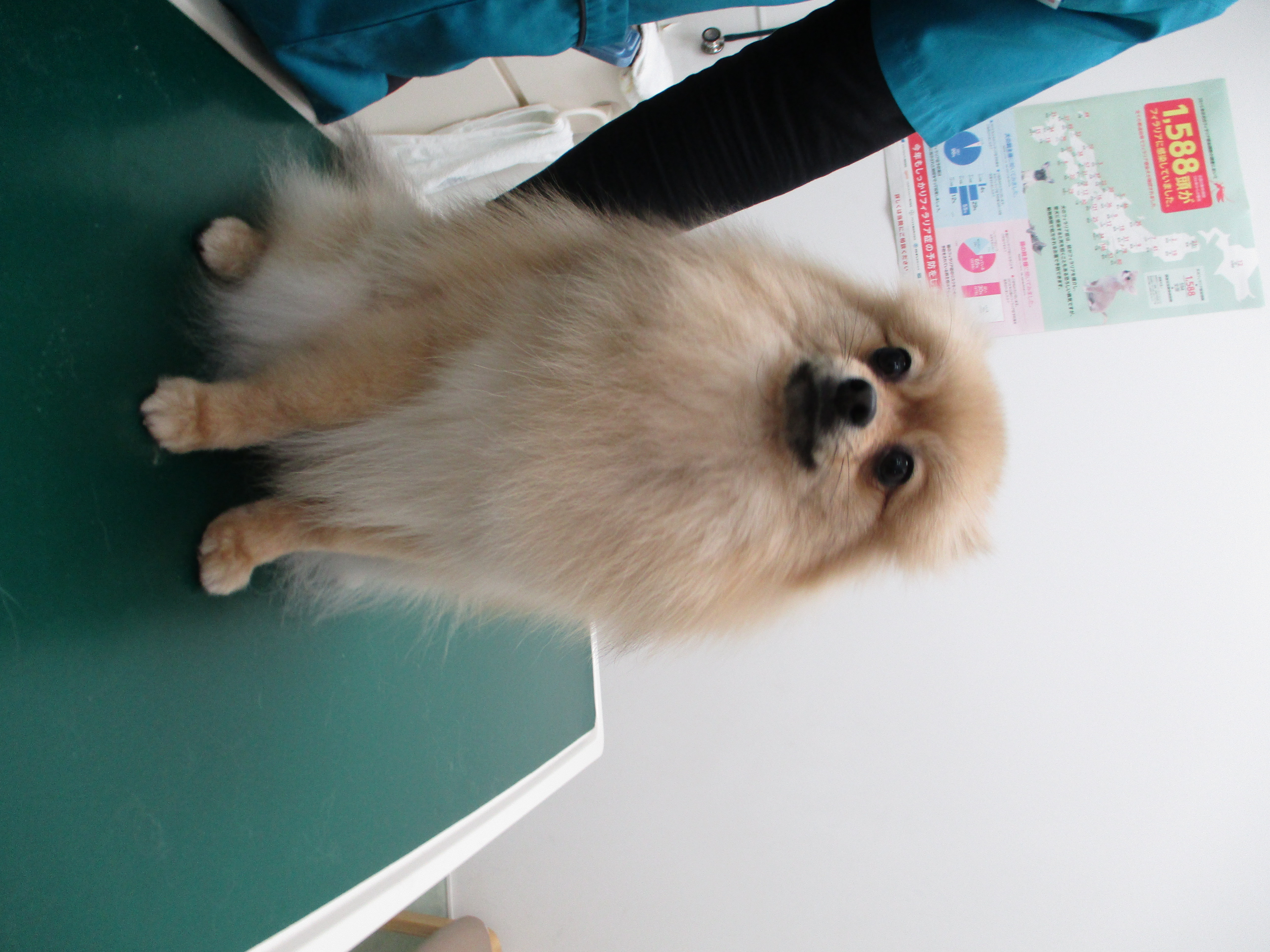 すずちゃん すずちゃん