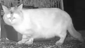 カメラ目線 カメラ目線