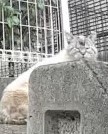 目小さくない? 目小さくない?