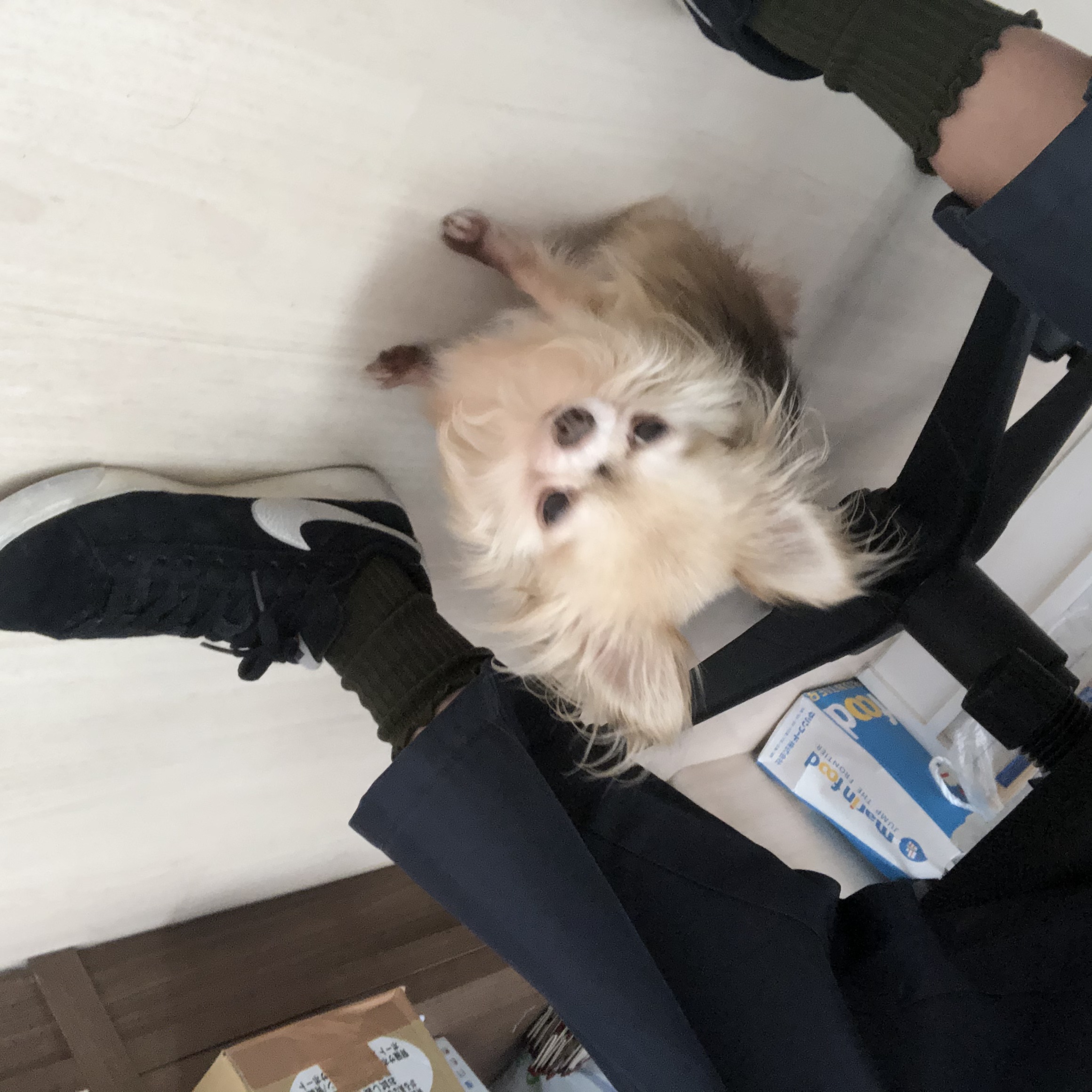 足 足