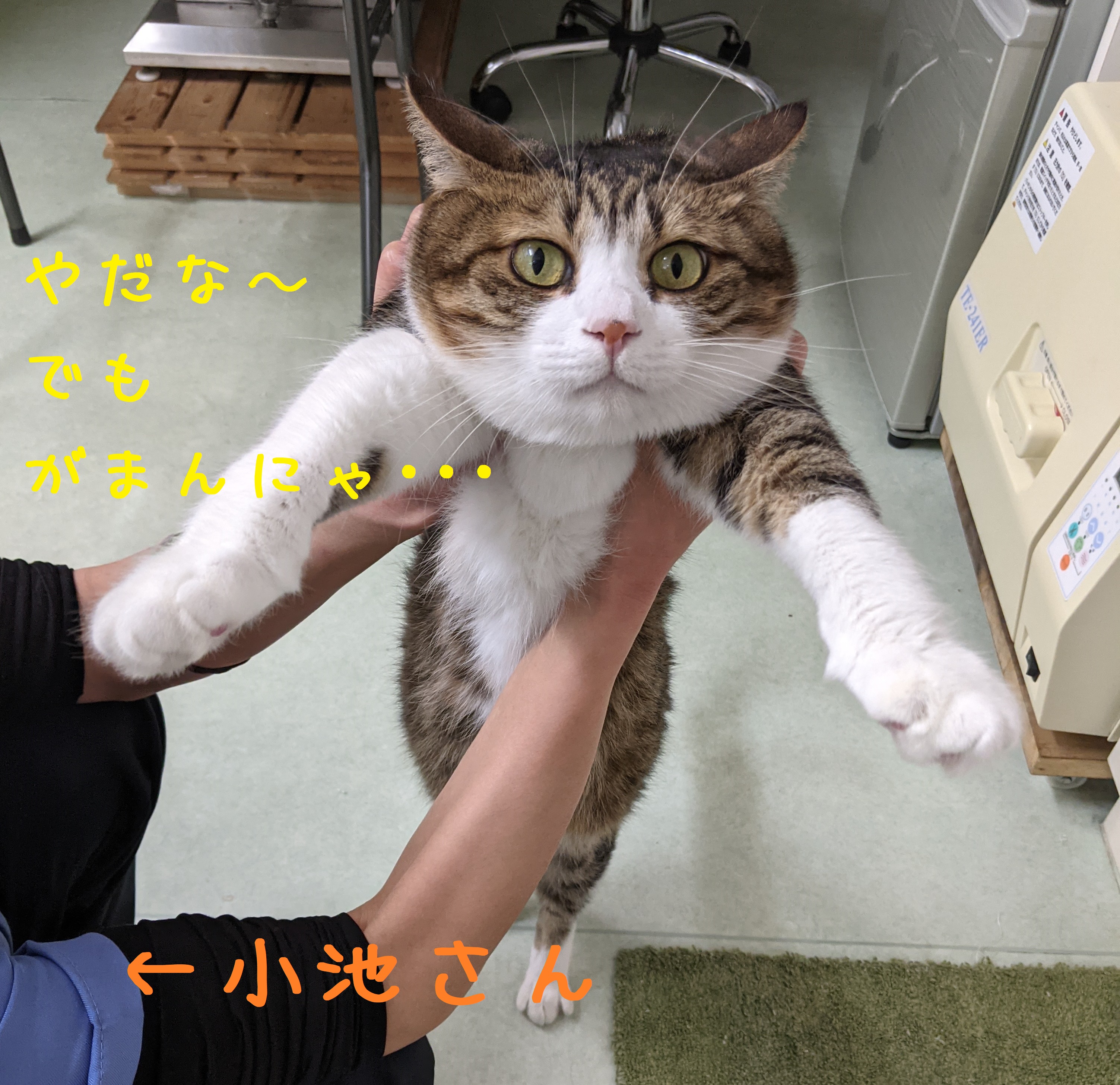 謎な姿勢 謎な姿勢