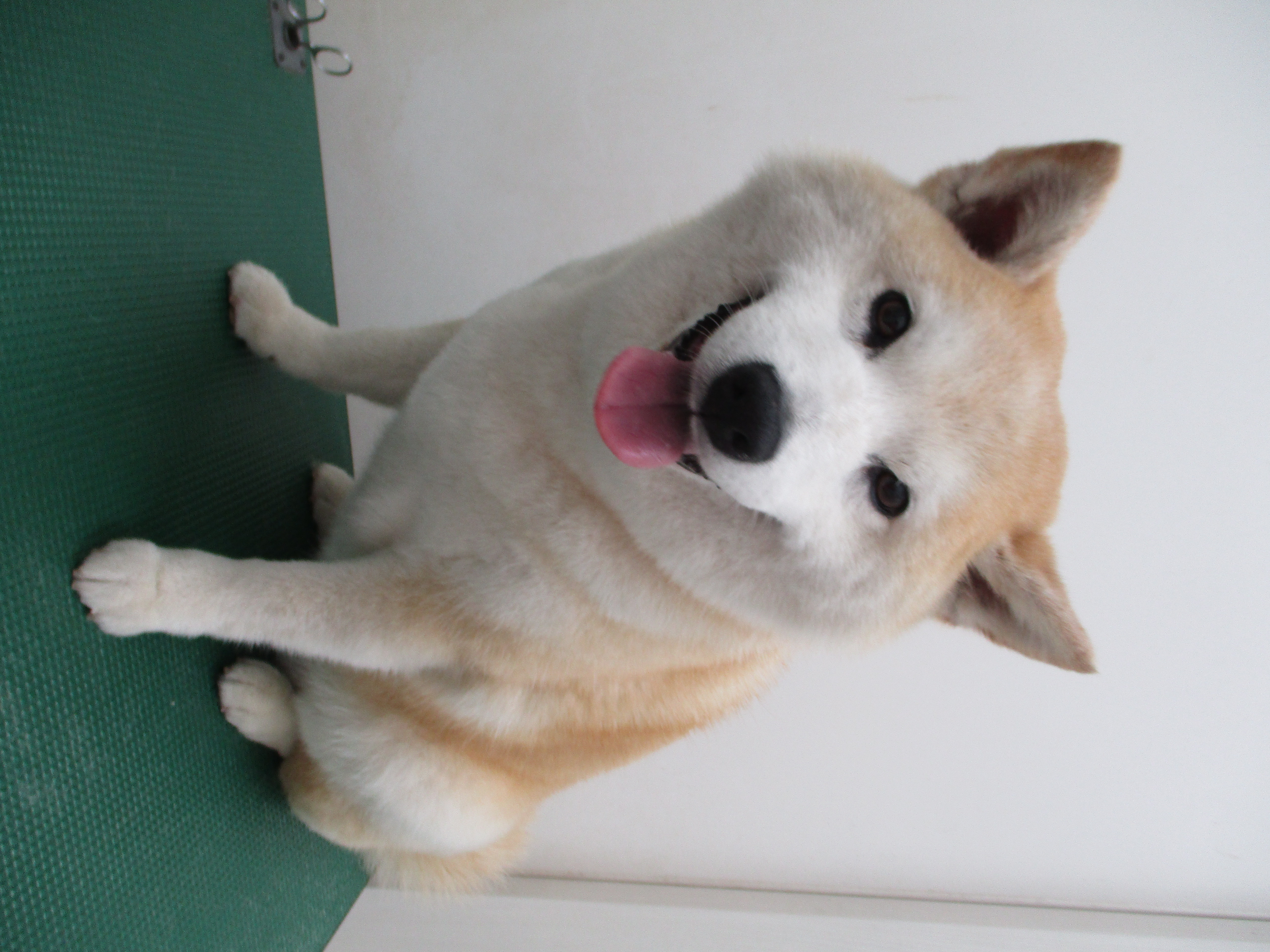 うめちゃん うめちゃん