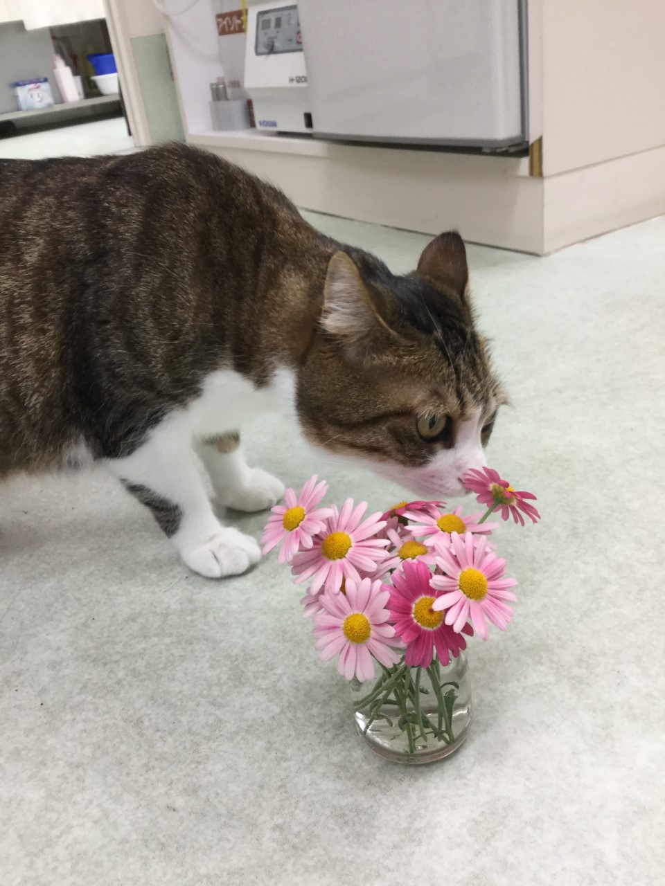 チェック中 チェック中