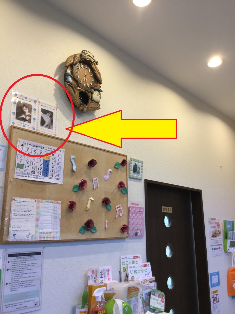 掲示 掲示