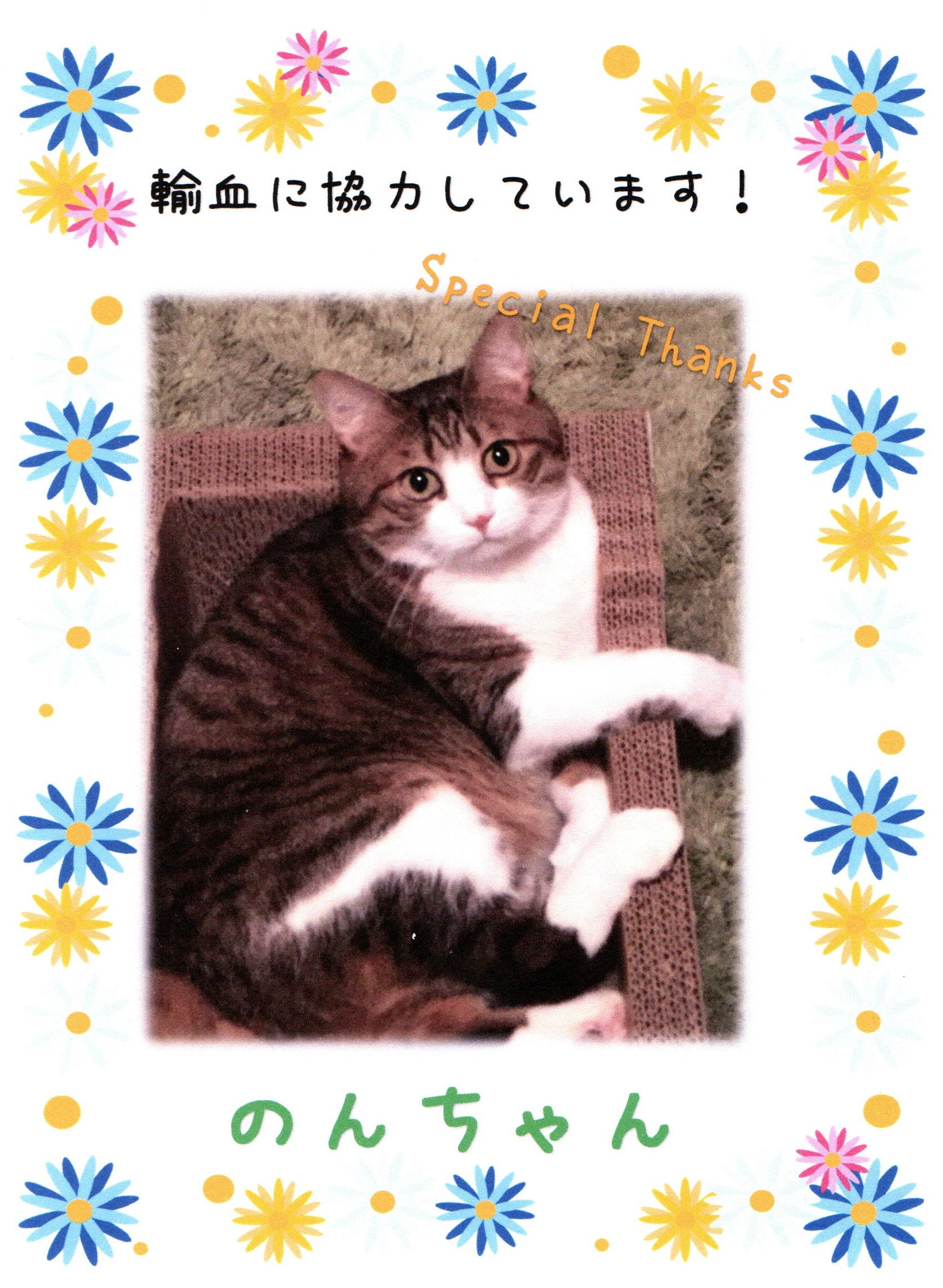 のの のの