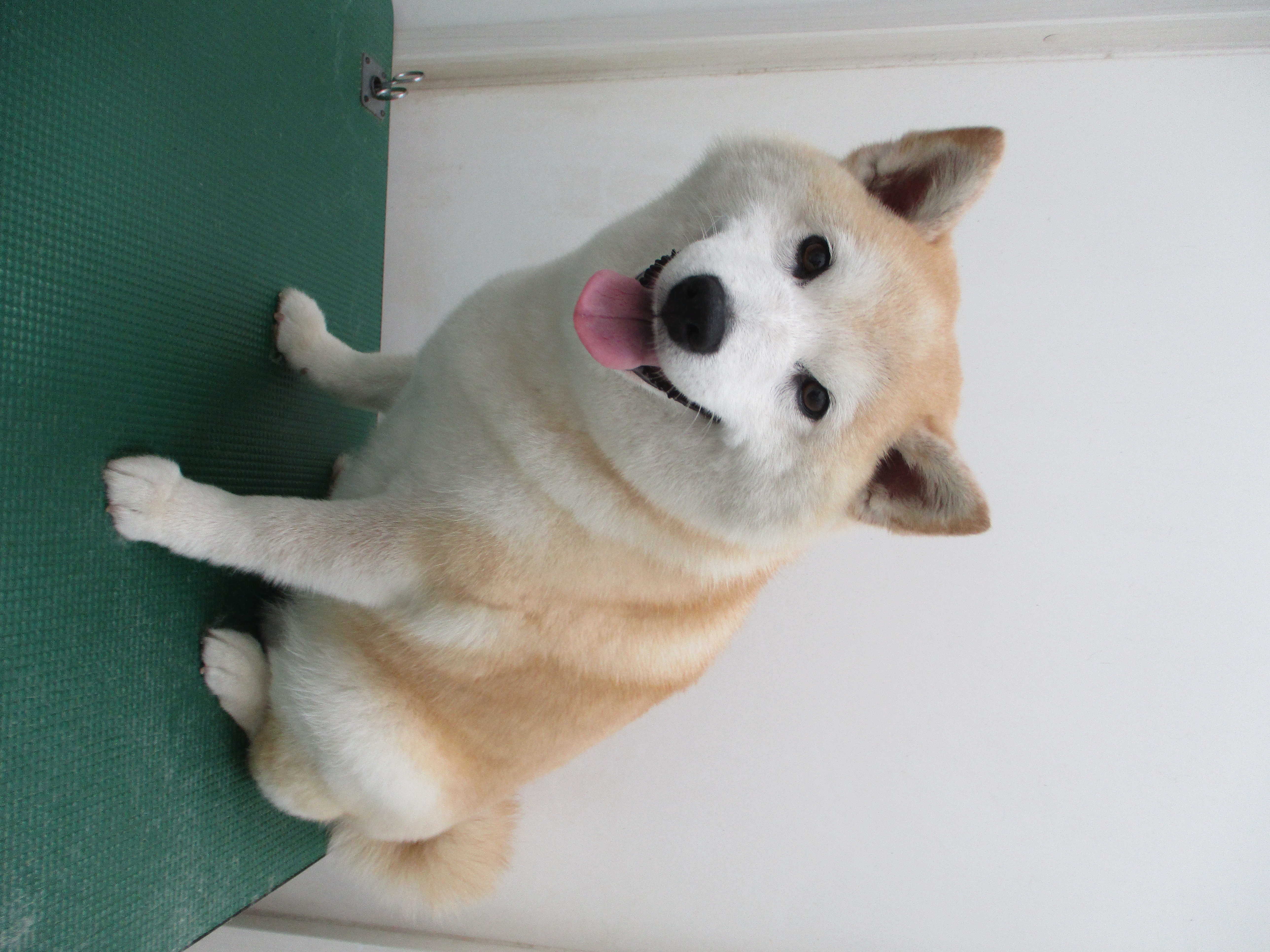 うめちゃん うめちゃん