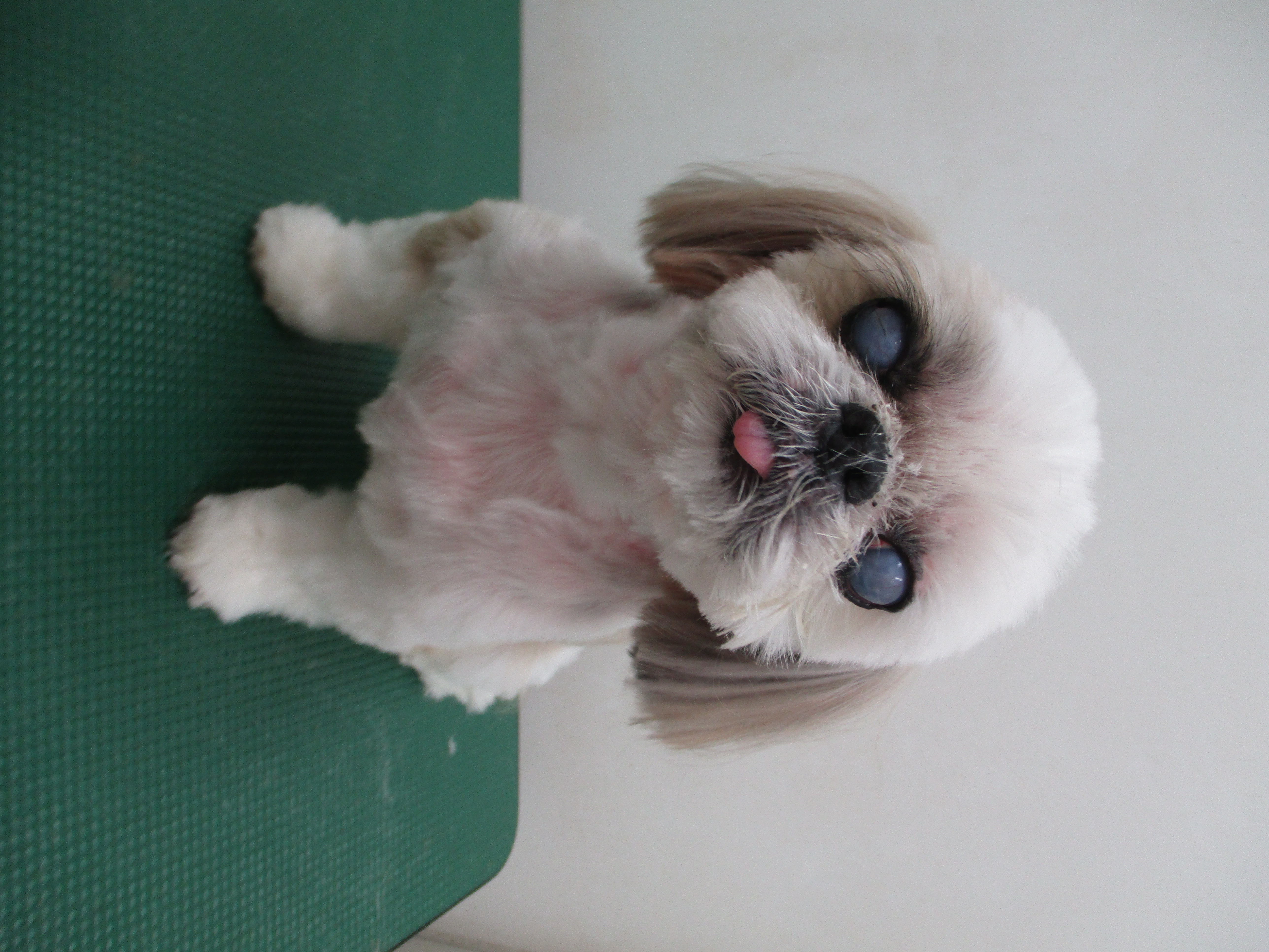 れいちゃん れいちゃん