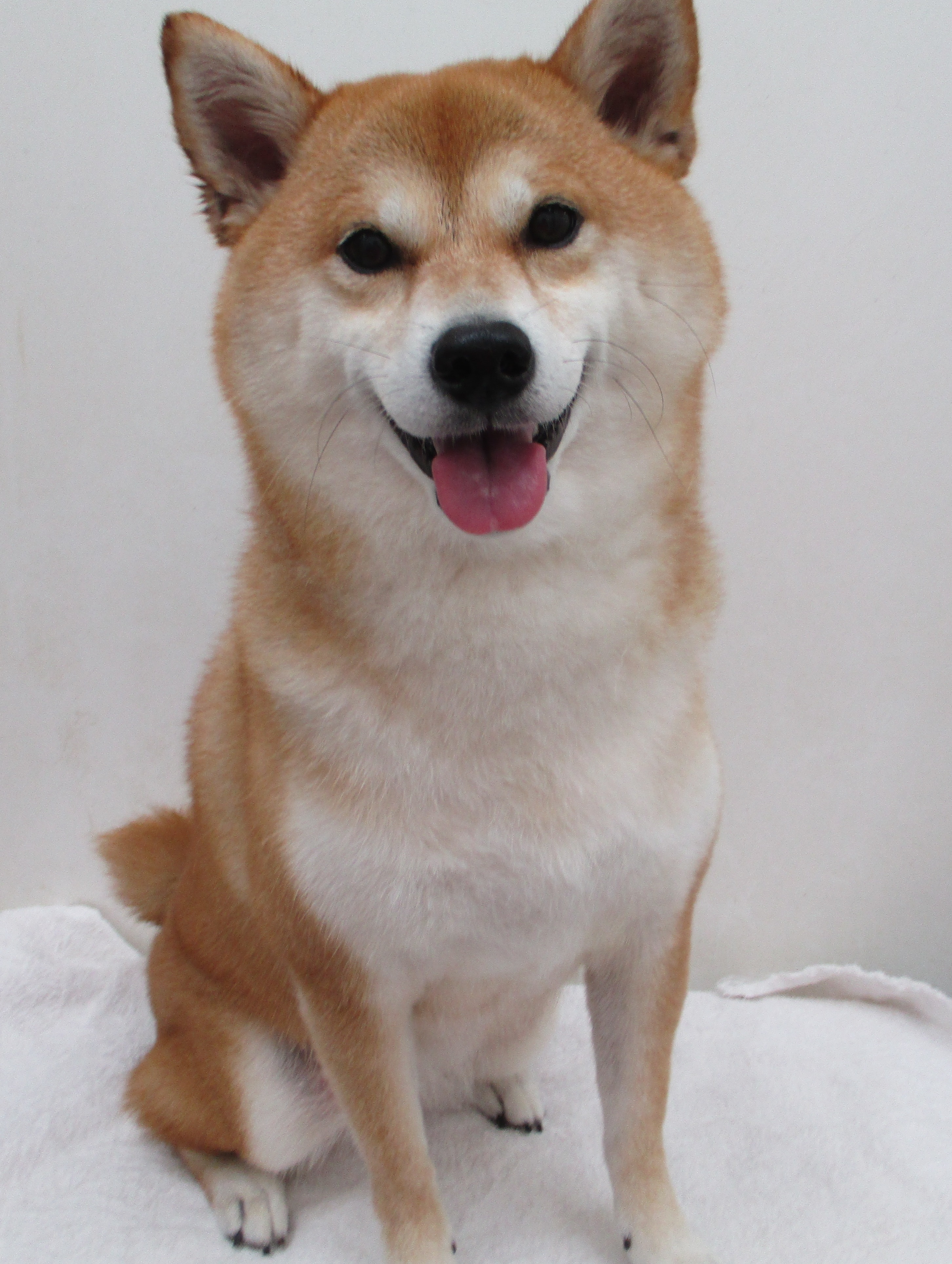 心愛ちゃん 心愛ちゃん