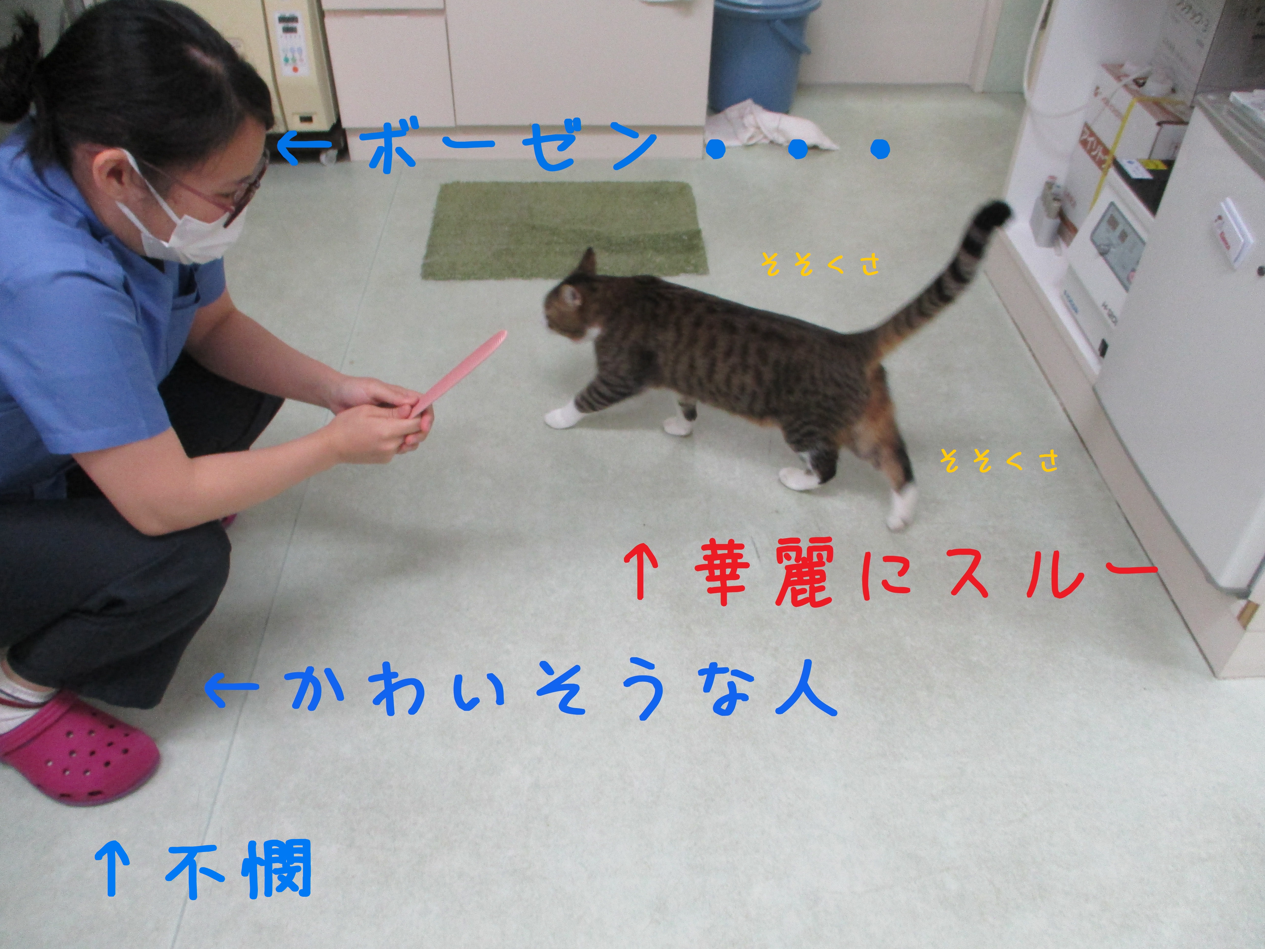 そそくさ そそくさ