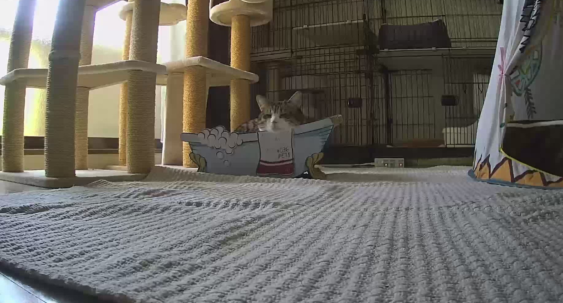まったりのん まったりのん