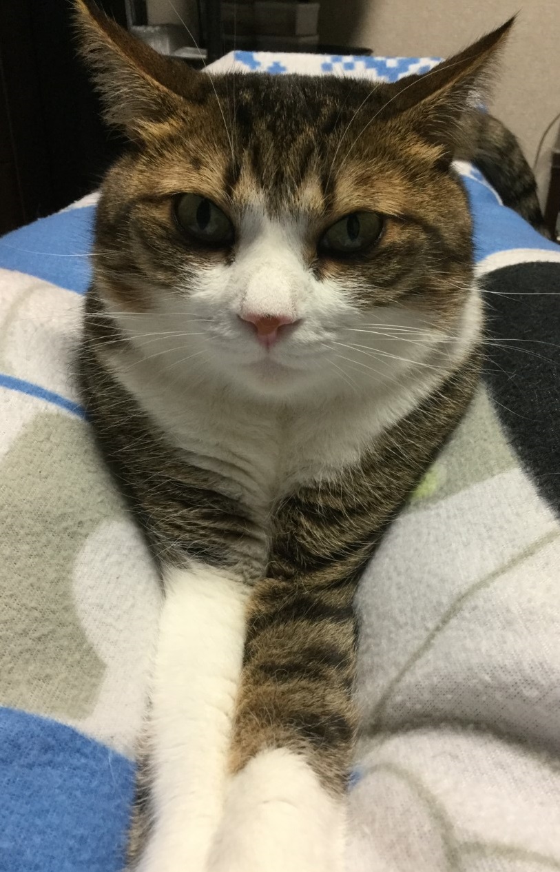 おきにスタイル おきにスタイル