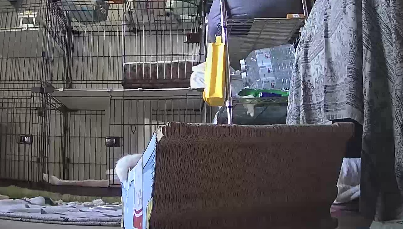 おててのみ おててのみ