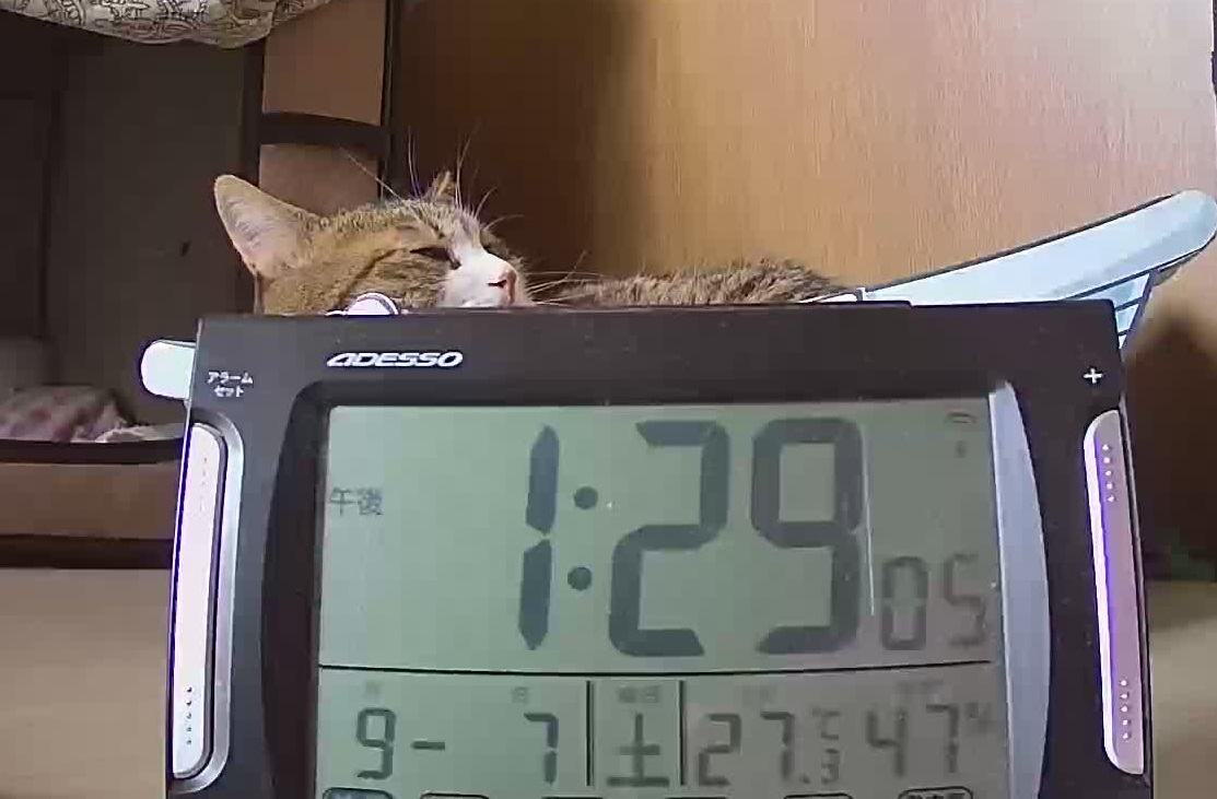 アリバイ用写真風 アリバイ用写真風