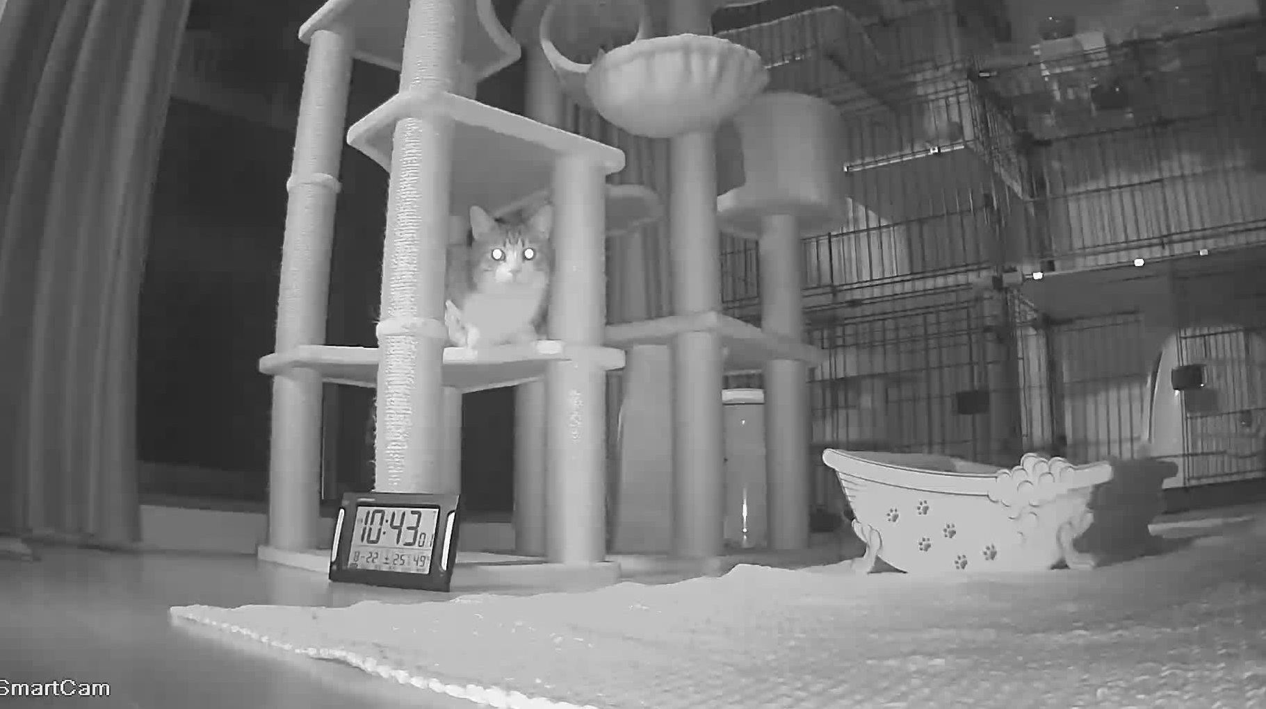 暗い部屋 暗い部屋