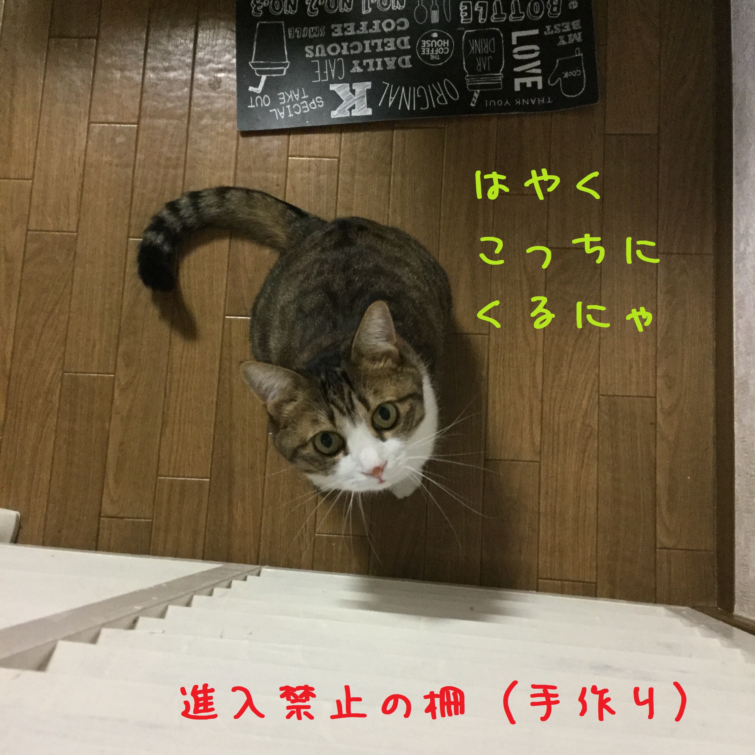 目で訴える 目で訴える