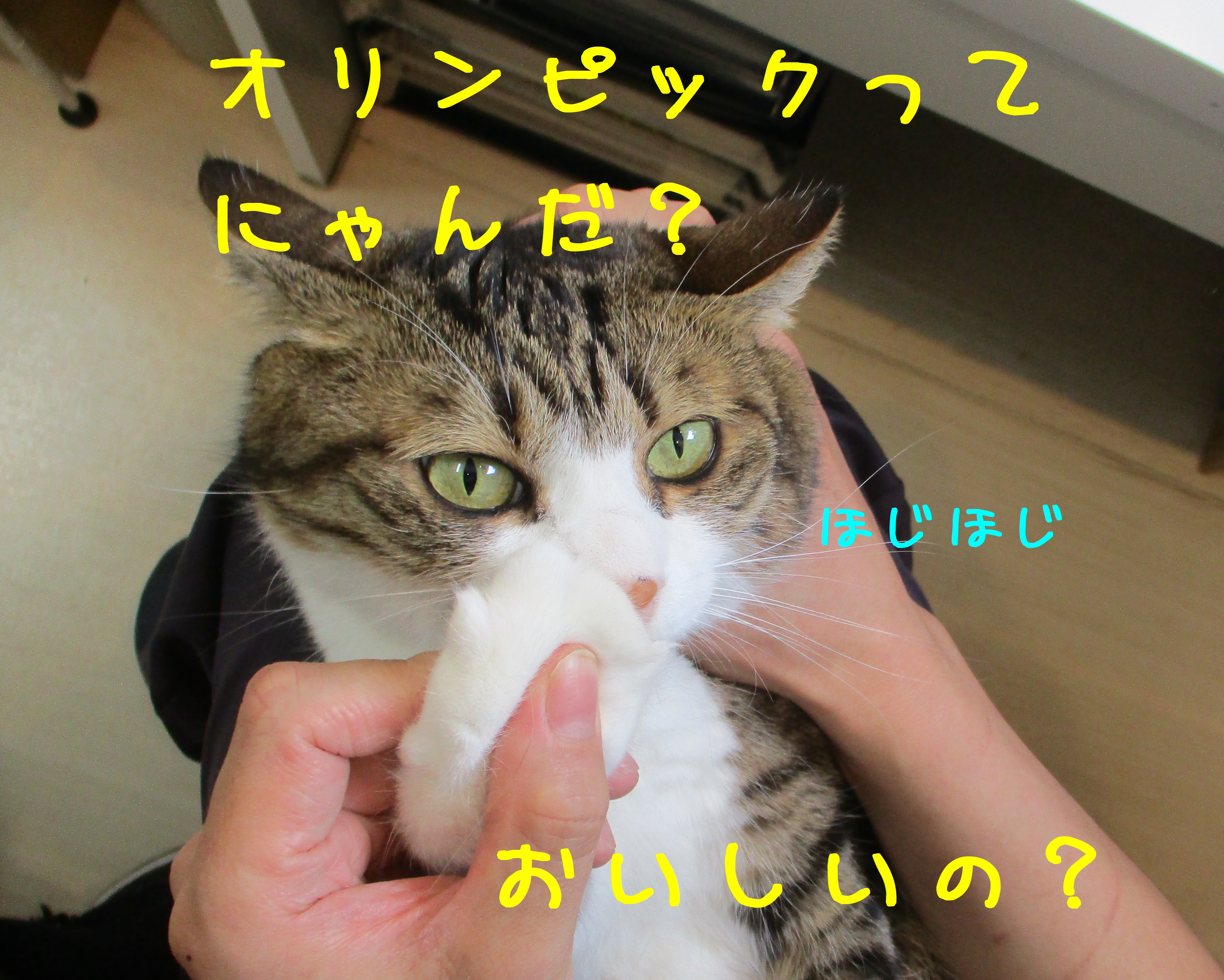 ほじほじ ほじほじ