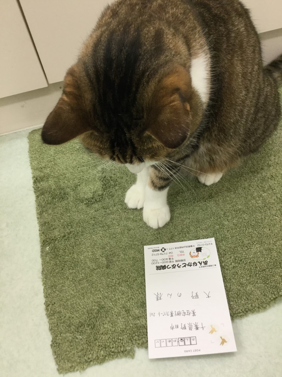 確認 確認