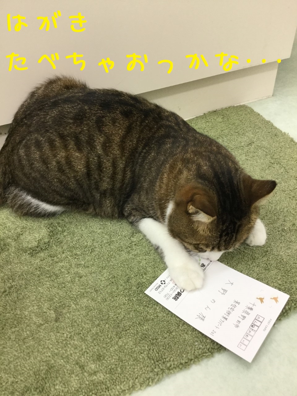 証拠隠滅 証拠隠滅