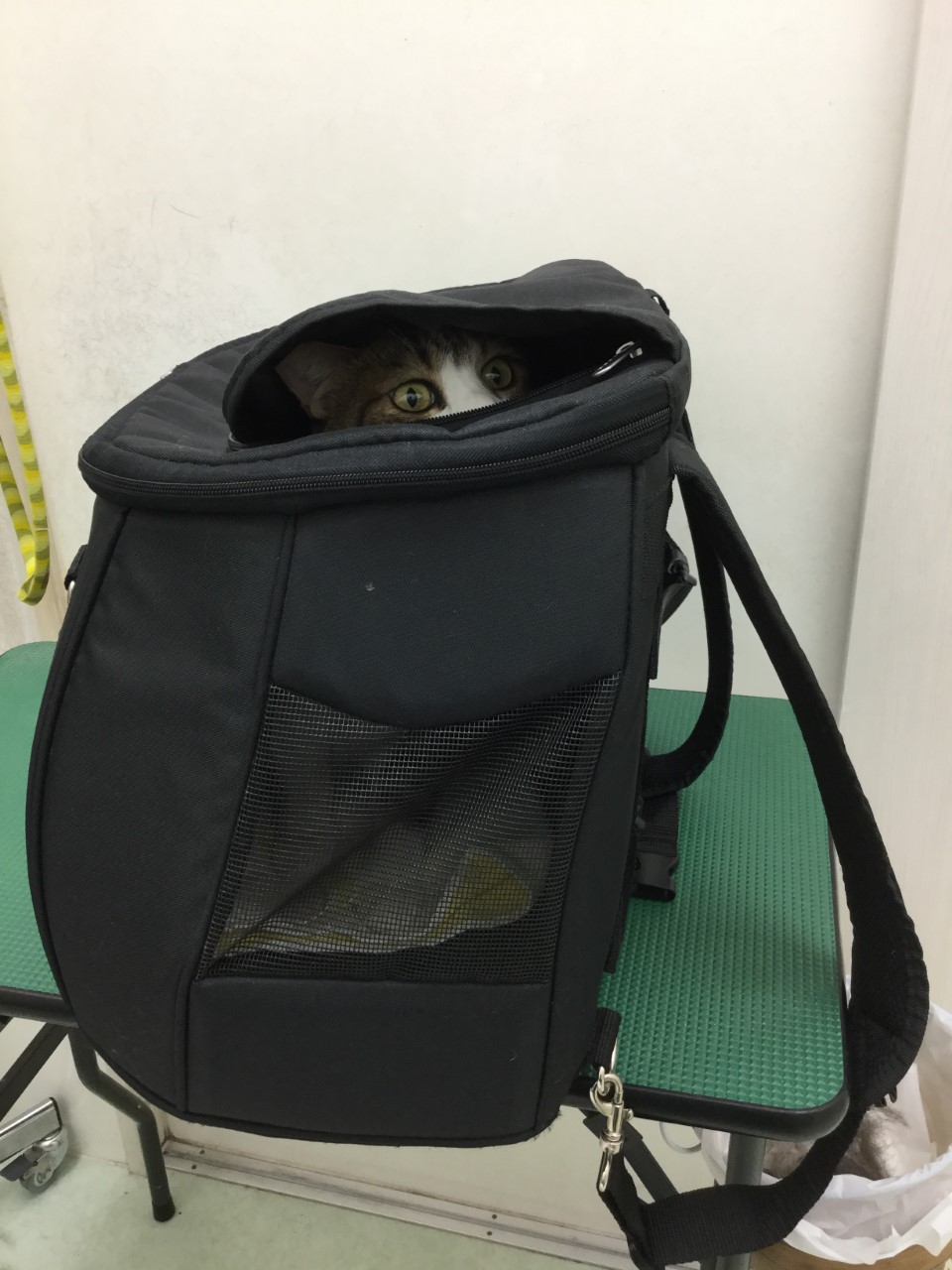 のぞき見 のぞき見