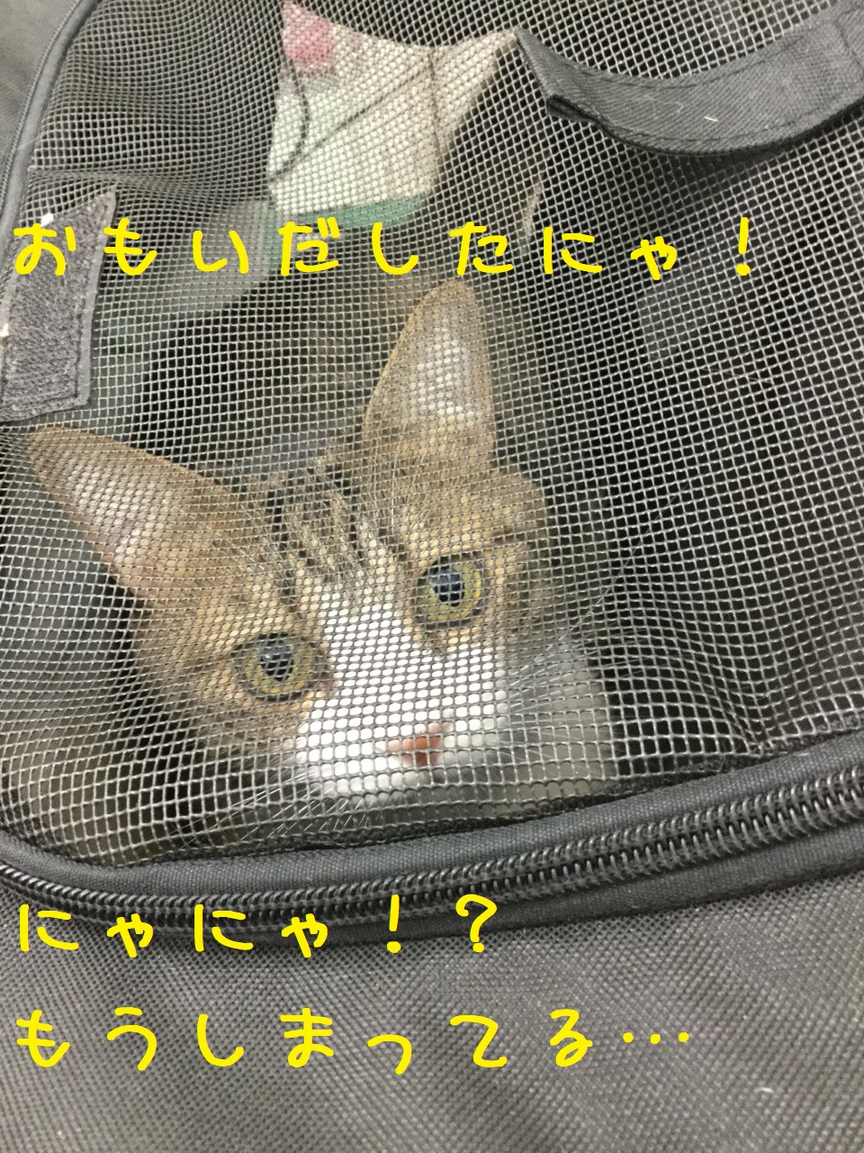 遅い気付き 遅い気付き