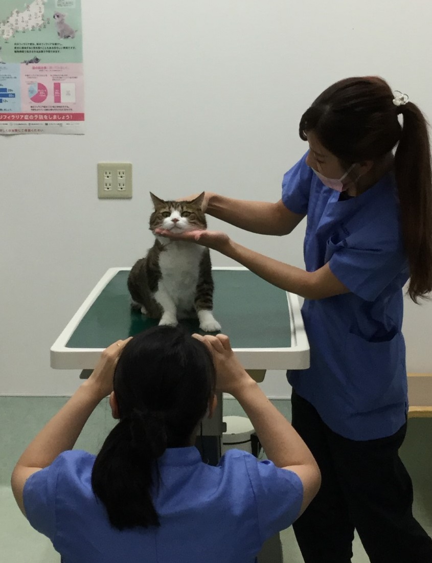やわらかすぎるのん やわらかすぎるのん