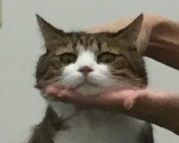 虚無 虚無