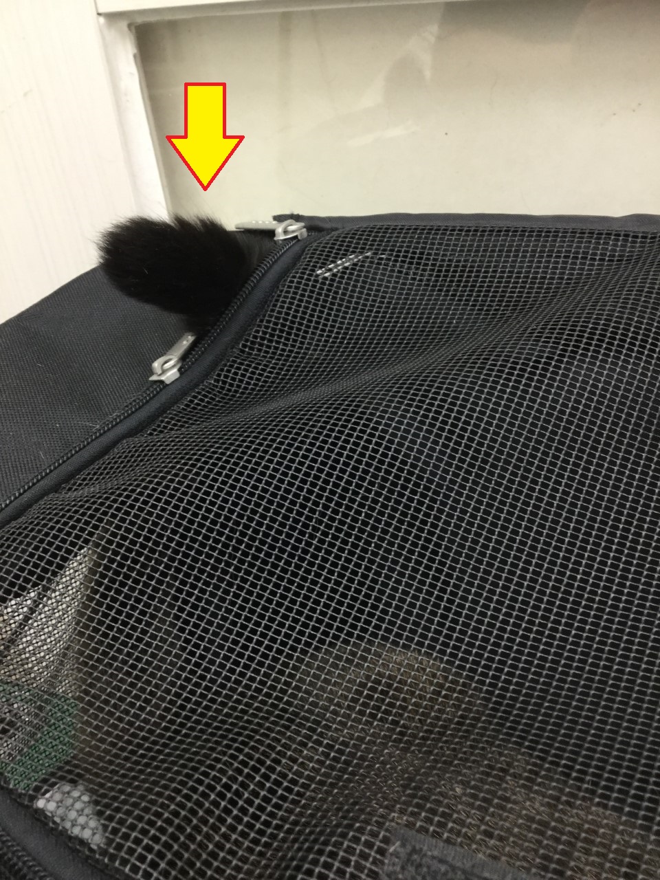 無駄な抵抗 無駄な抵抗