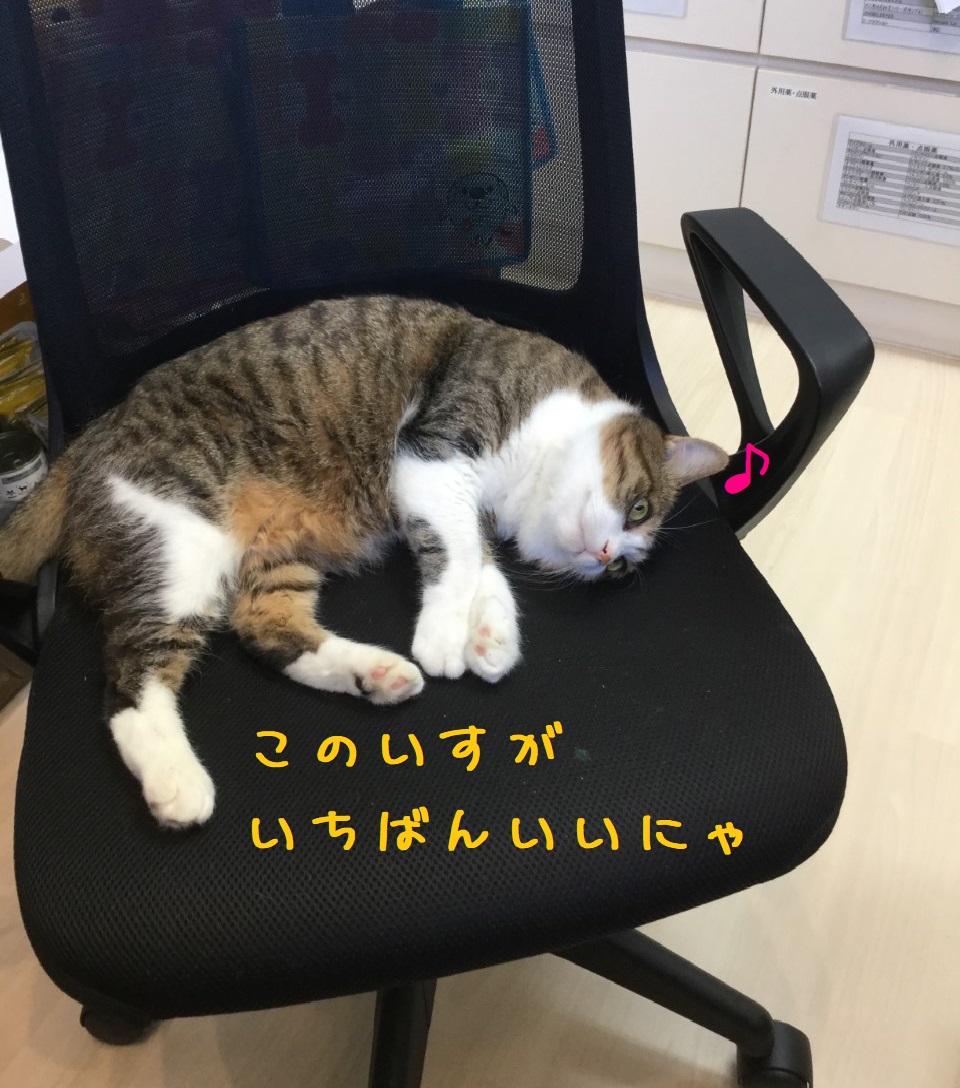 変な顔 変な顔