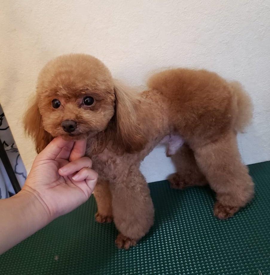 おぱんつ おぱんつ