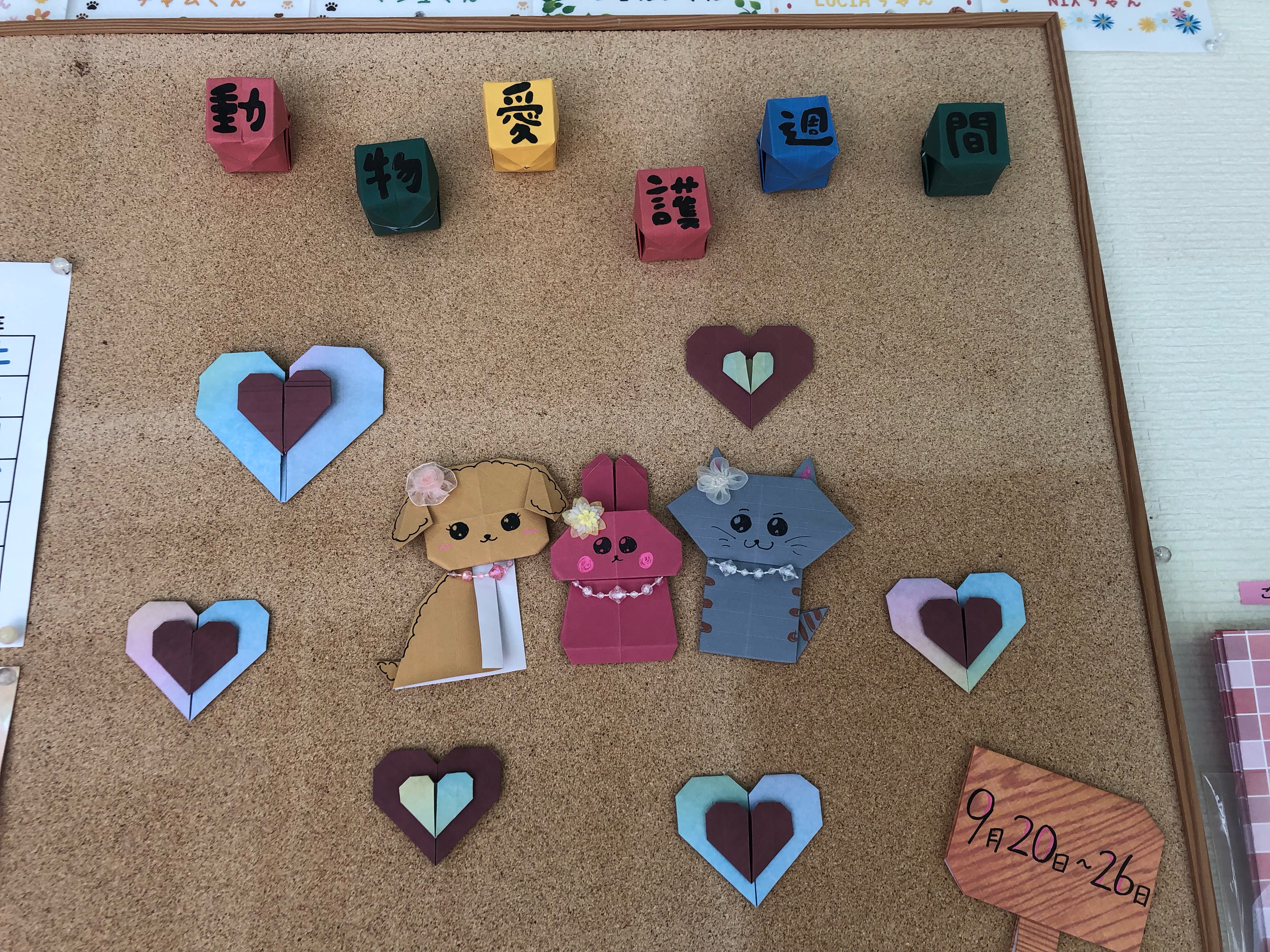 全体 全体