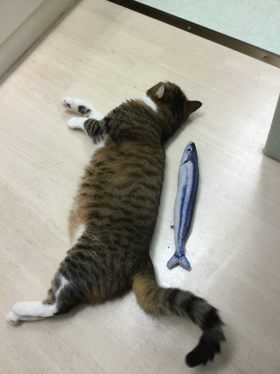 添い寝 添い寝