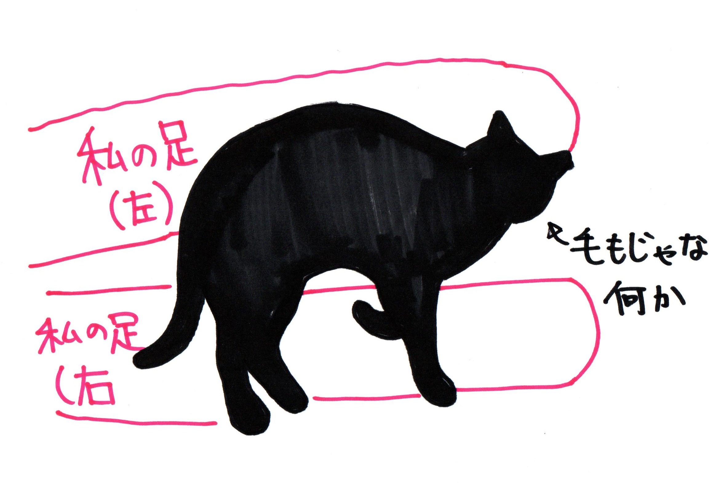 コタツの中身 コタツの中身