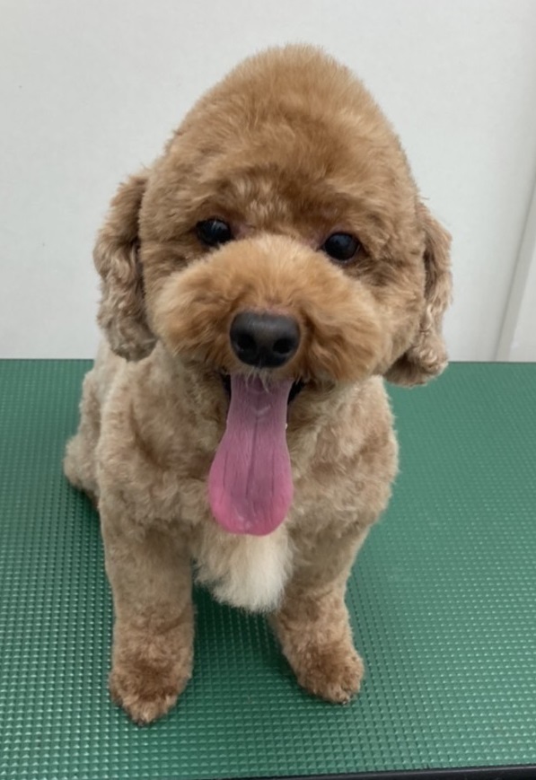 ナッツくん