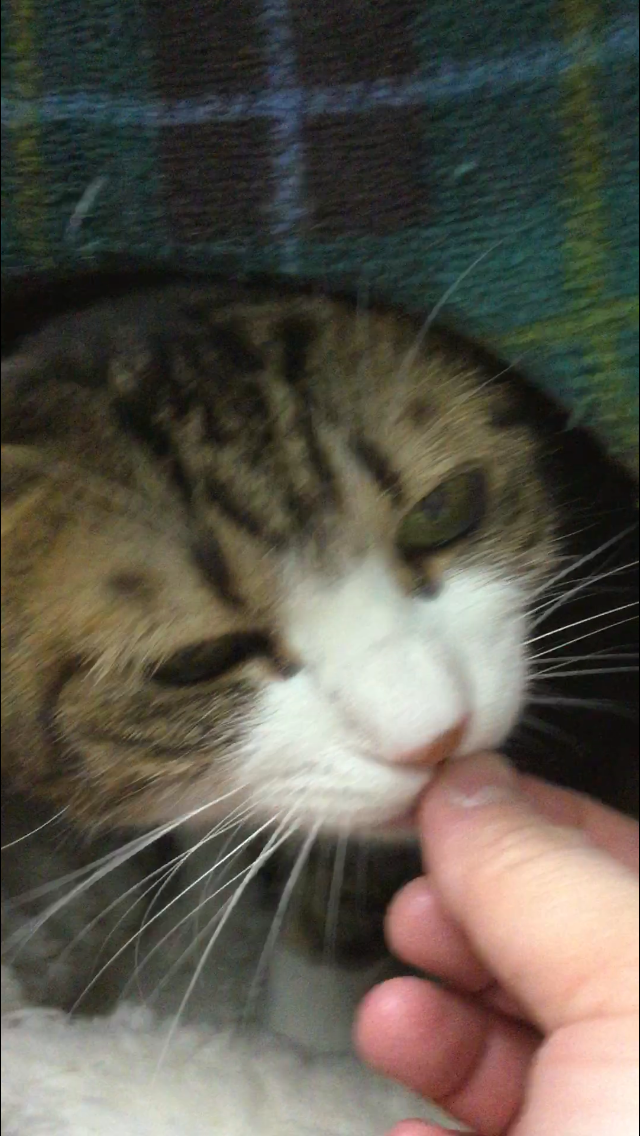 もそもそ