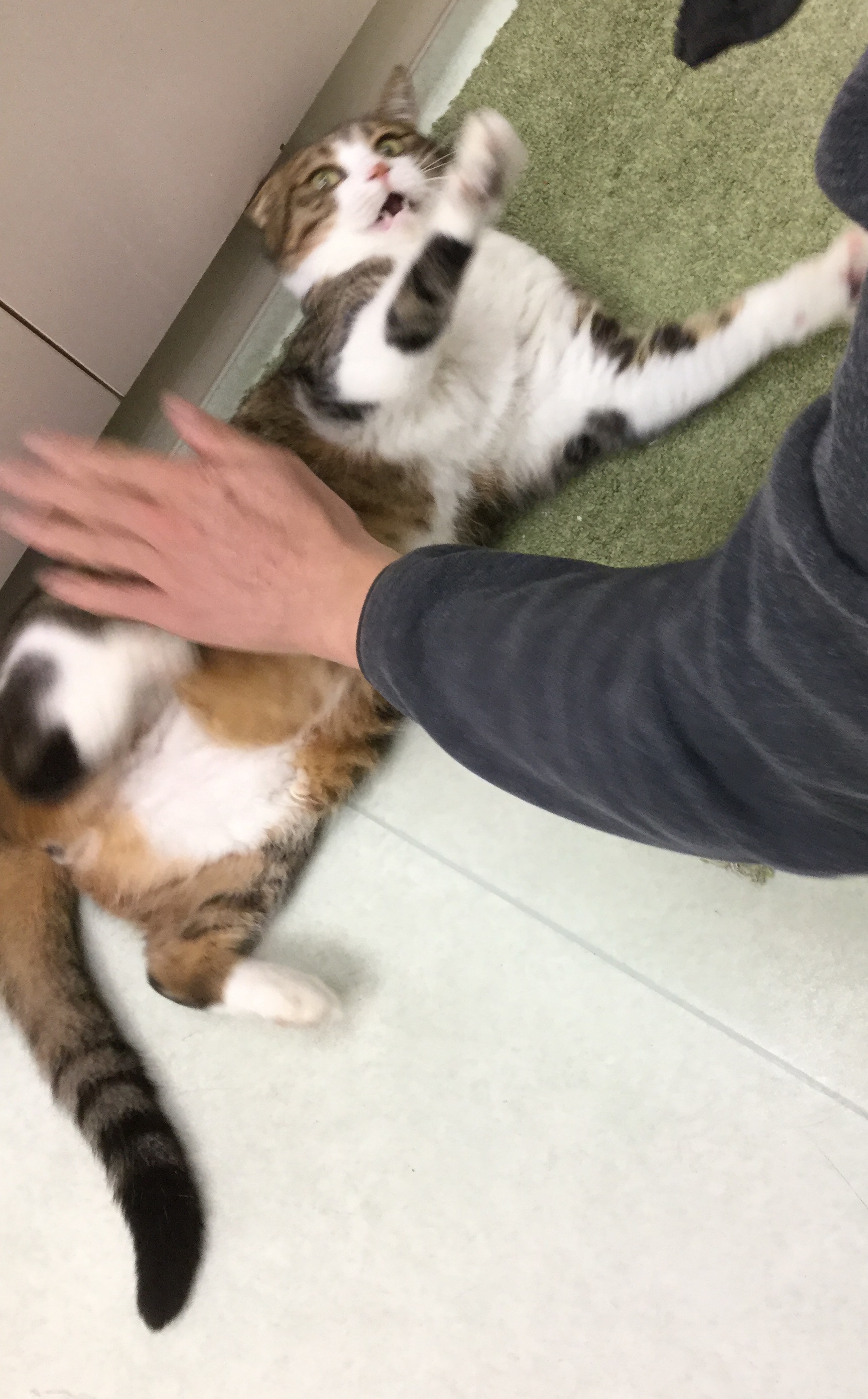 やめてよ