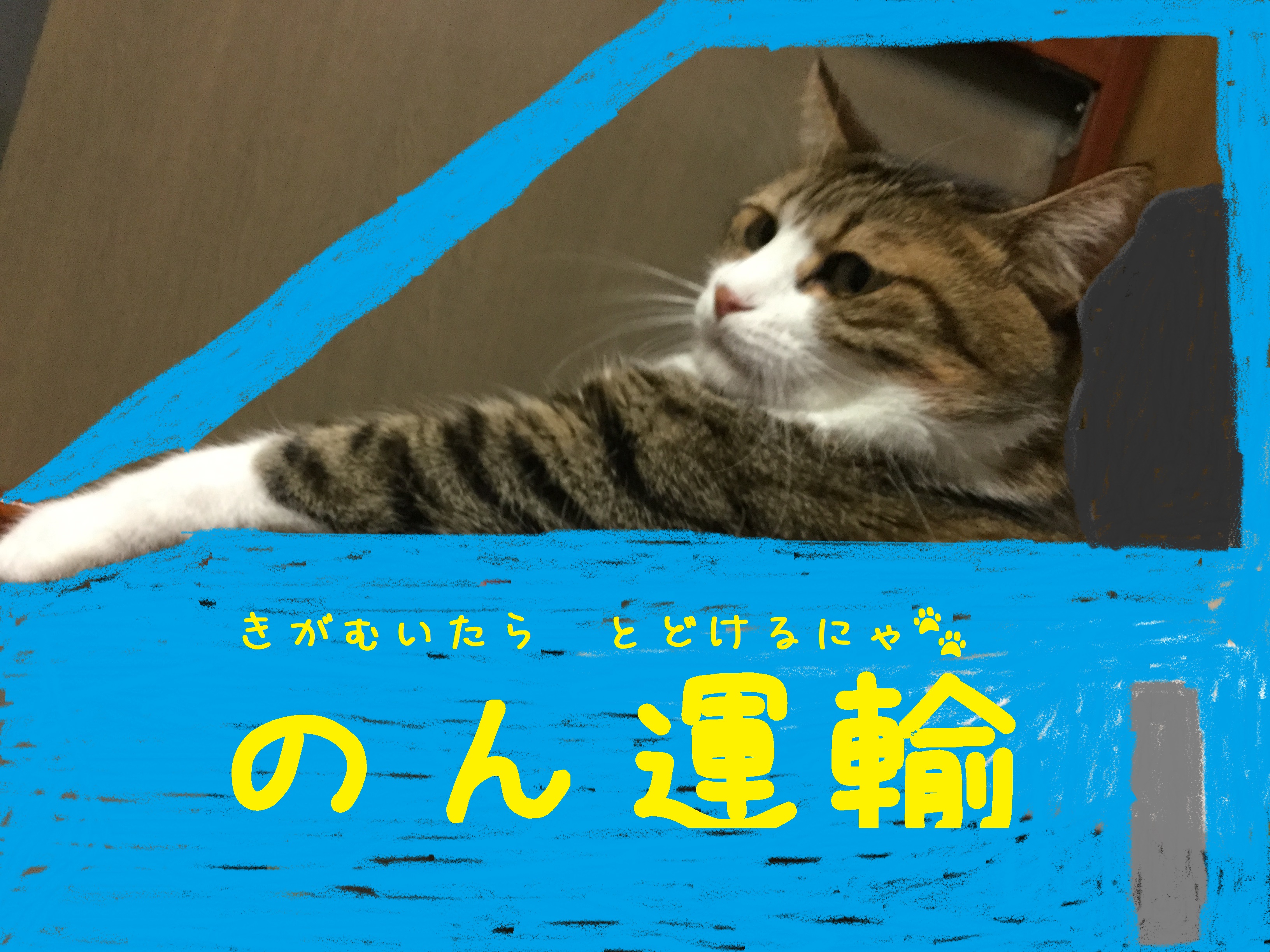 ドライバー
