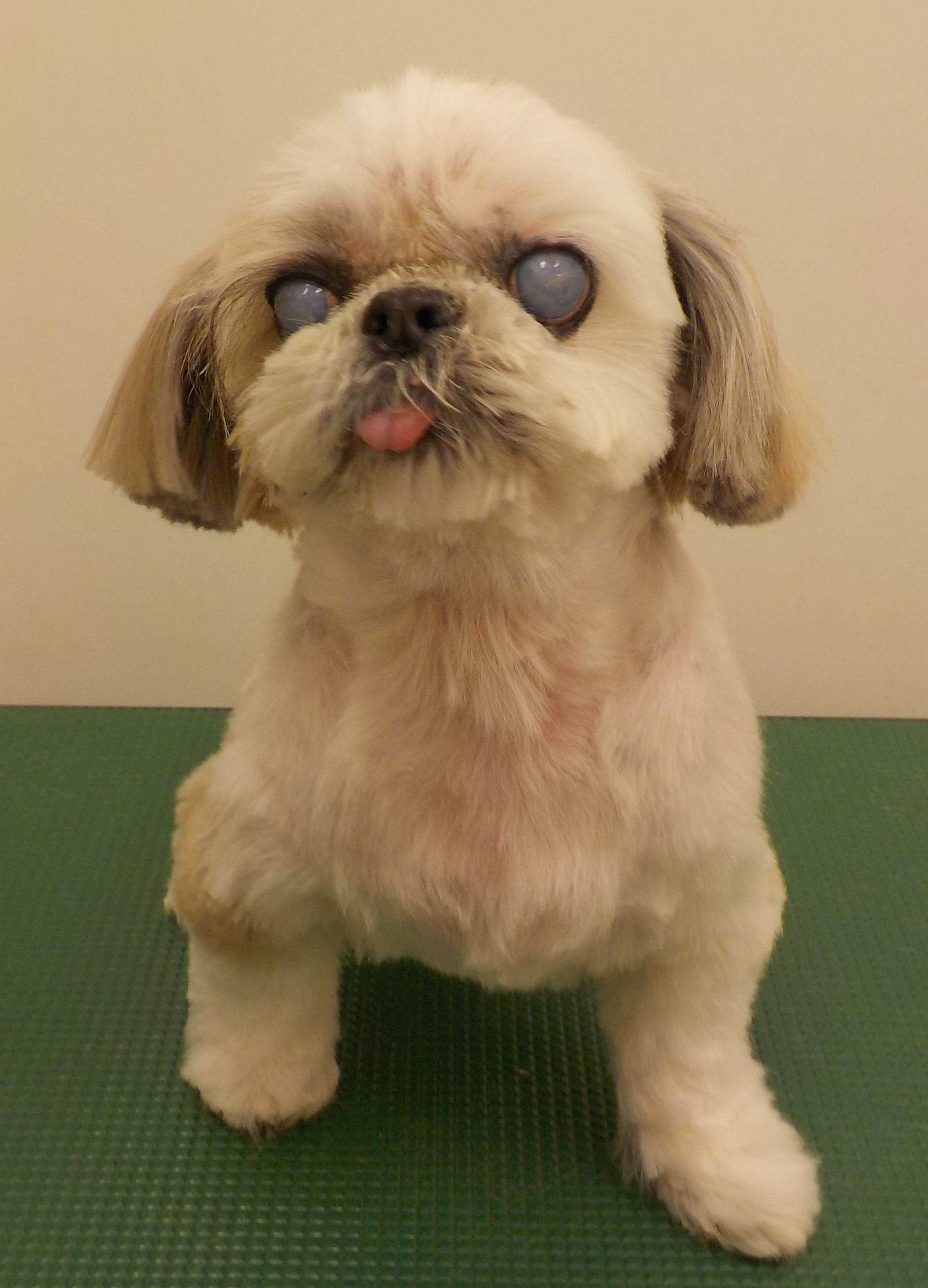 れいちゃん