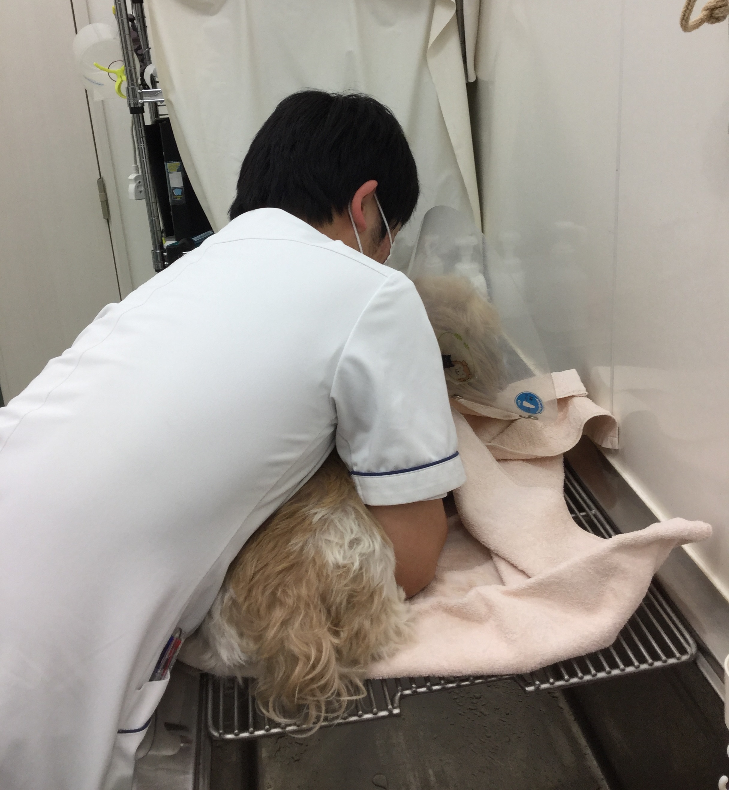 鈴木くん