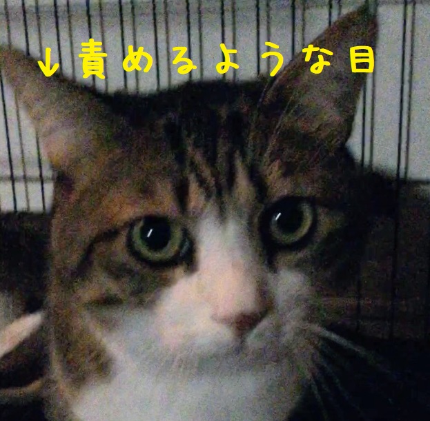 なぜ