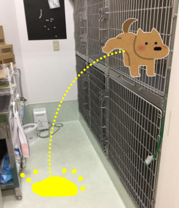 上から