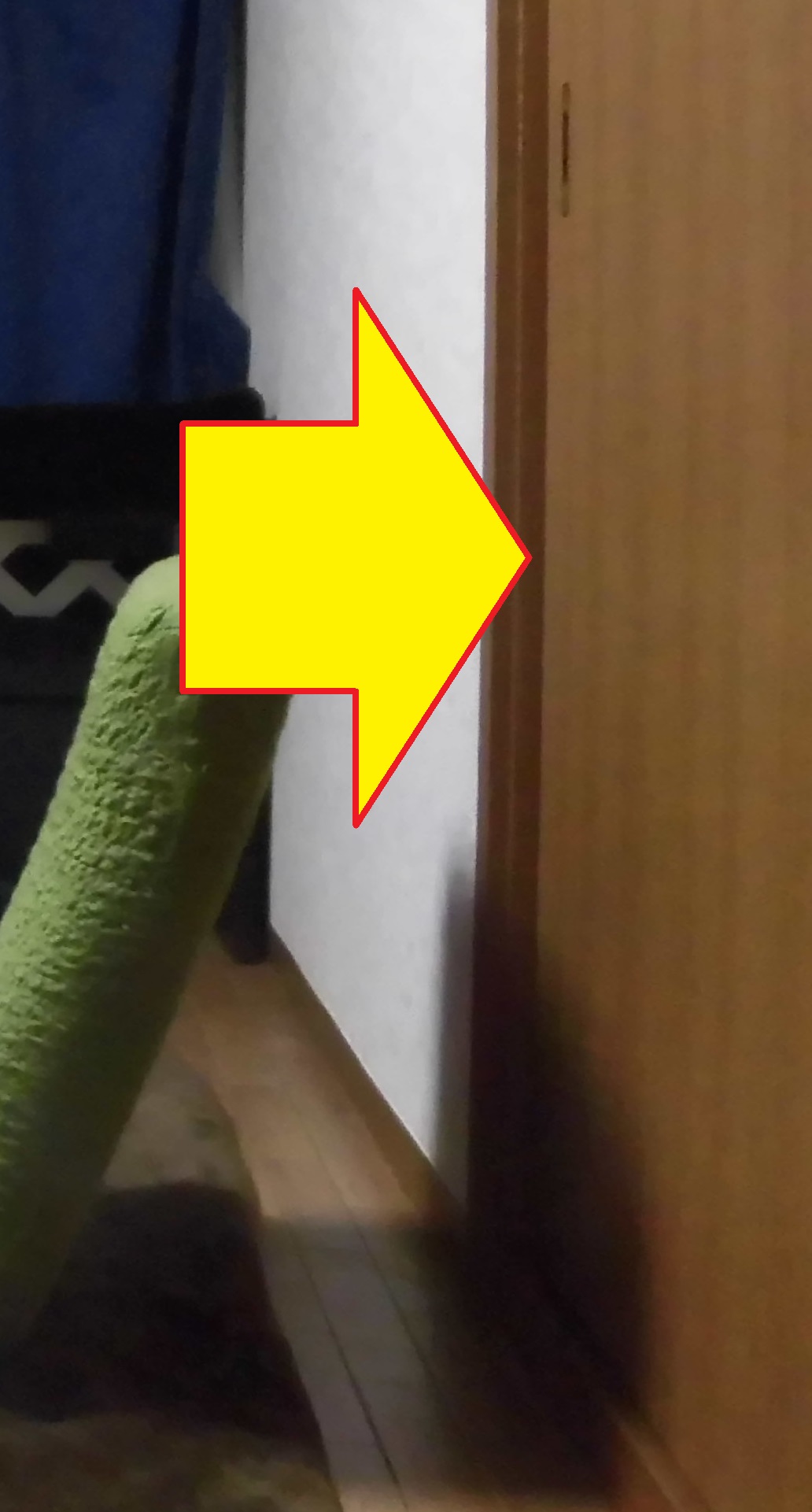 引き戸