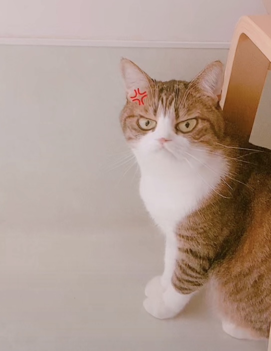 おこ