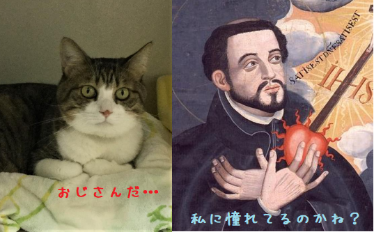 奇跡のコラボ