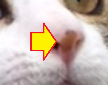 疑惑