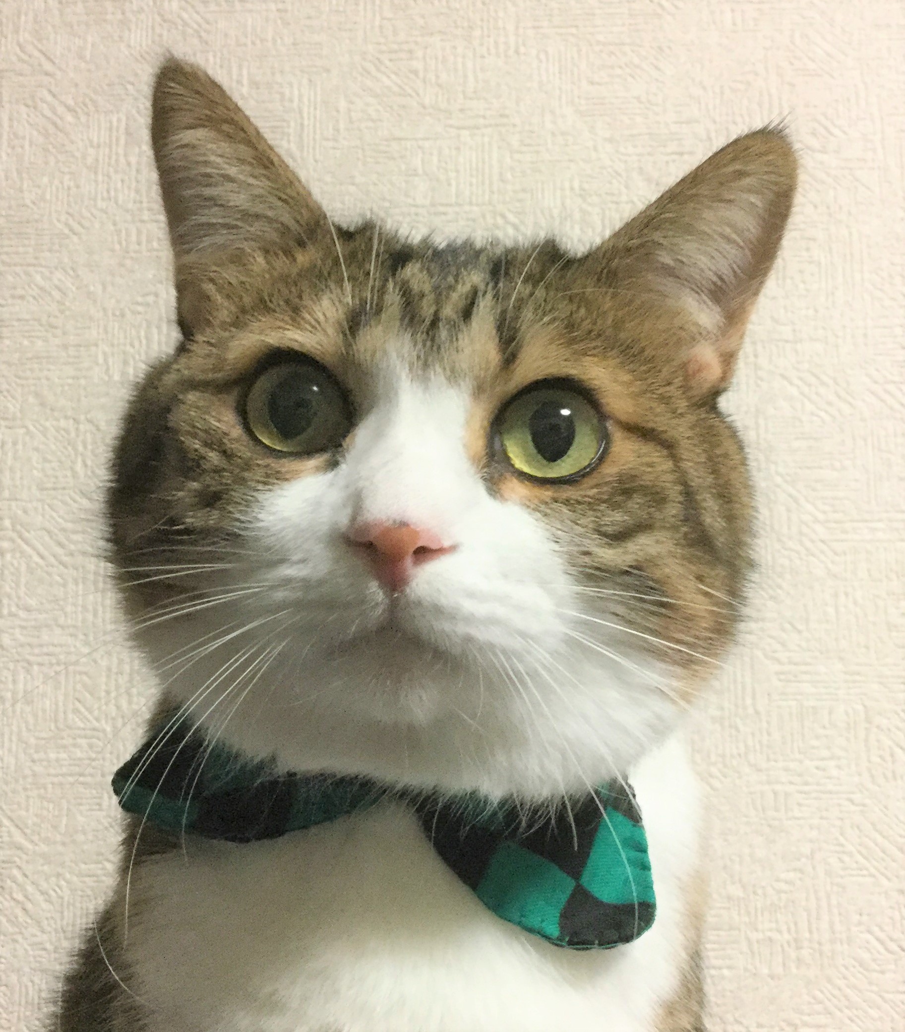 炭治郎
