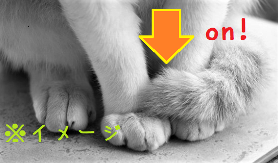 オン