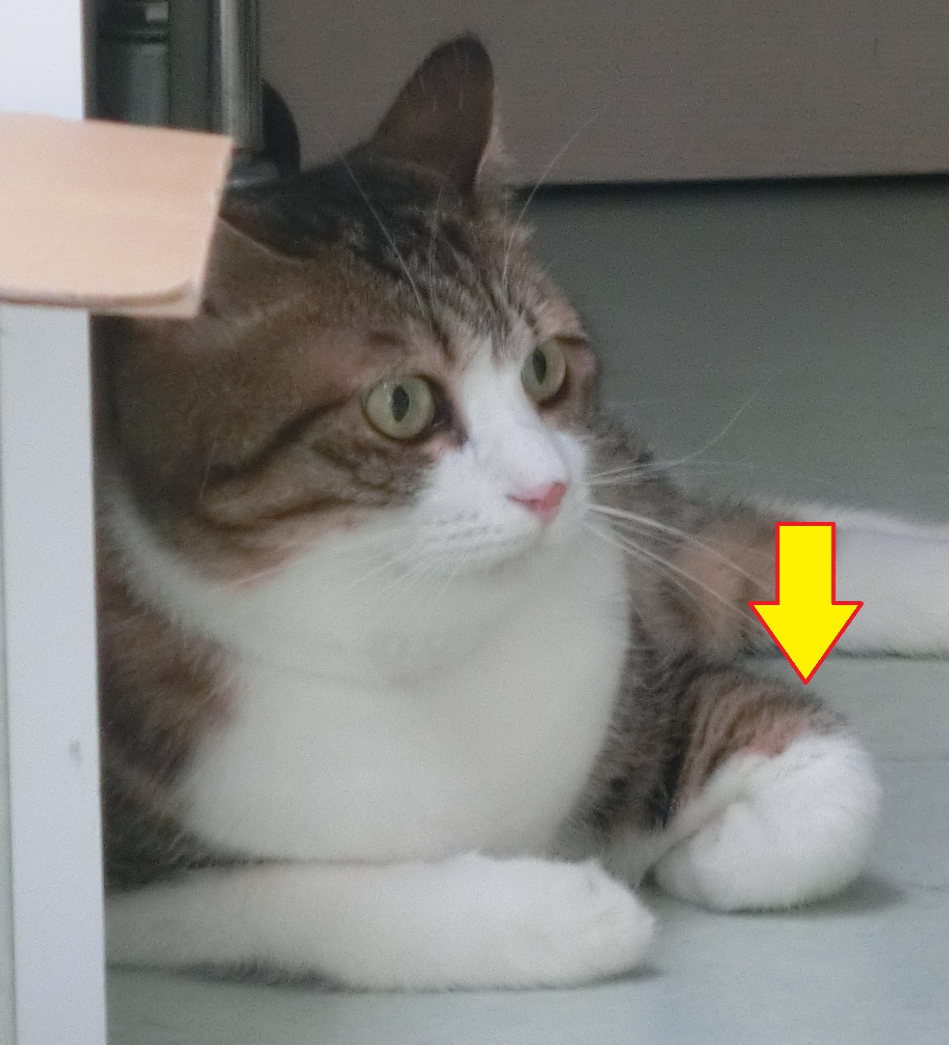 気にならないの?