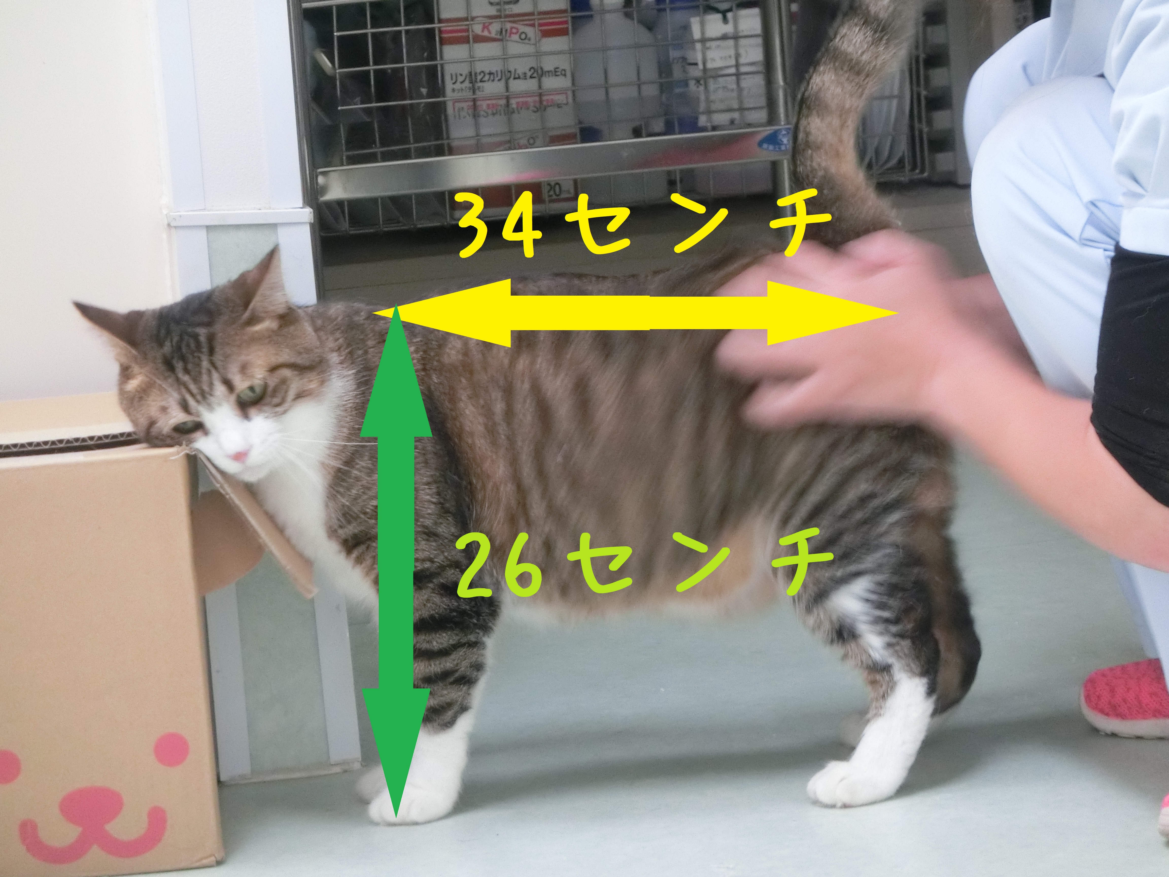 禁断の